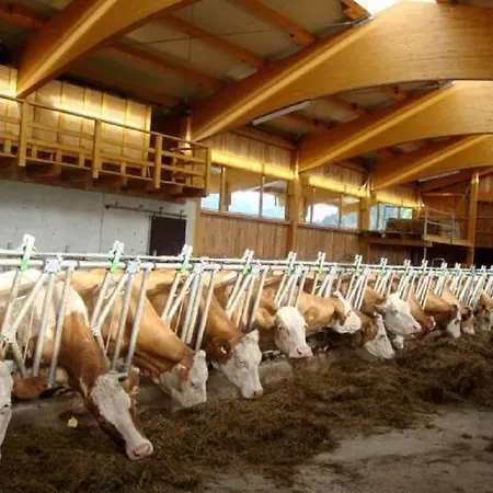 Guggenhof Farma Going am Wilden Kaiser
